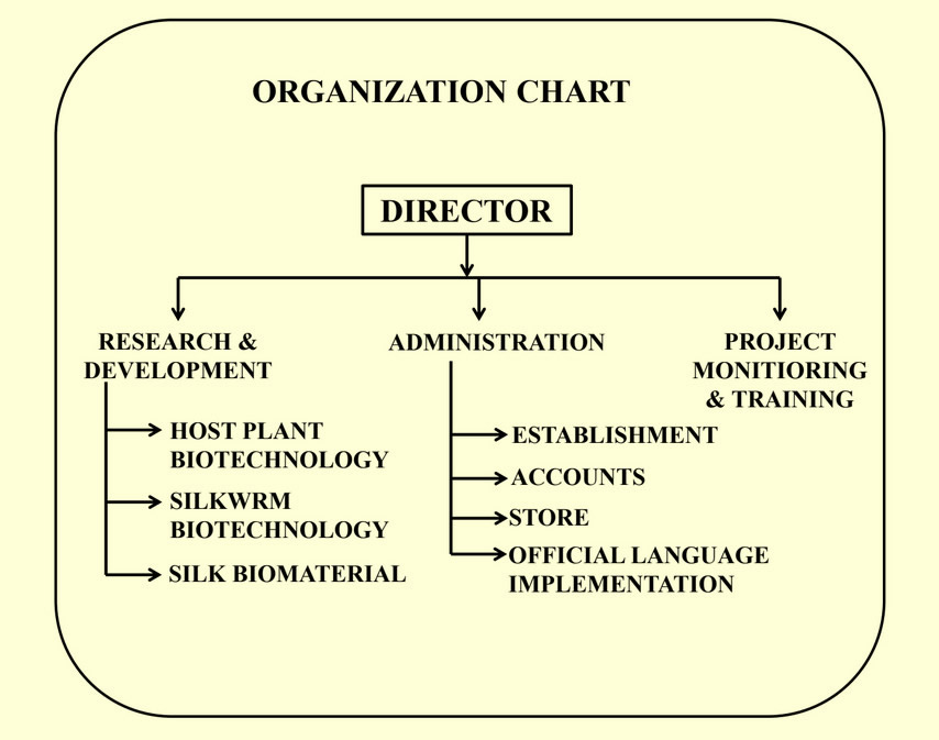 Organisation Chart